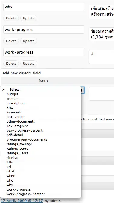 wordpress-2 custom field จำนวนมากสำหรับหน้าโครงการ