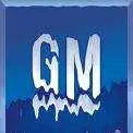 gm-bankruptcy GM ล้มละลาย