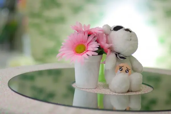Gusta-Coffee-03 ซาบซึ้งร้านตกแต่งน่ารัก มีตุ๊กตาประจำโต๊ะ