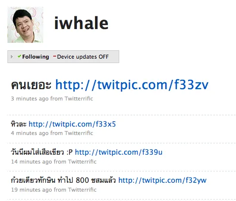 iwhale ผู้สังเกตการณ์ ใส่เสื้อเขียวไปกินเฉยเลย