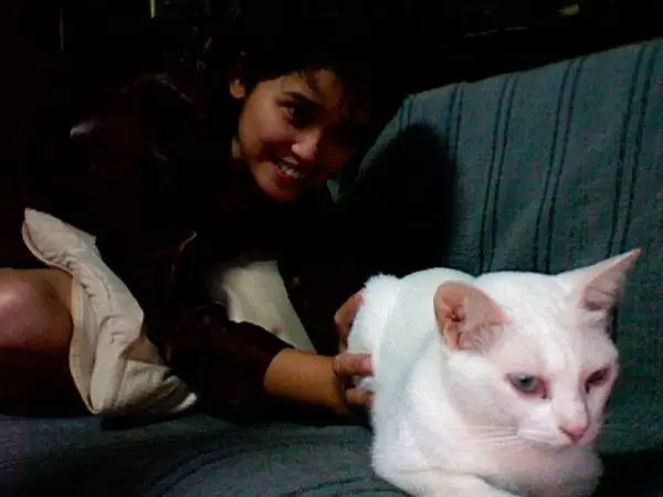 sumli @booruball กับ @sumli
