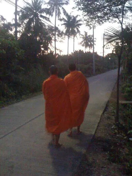 bangkrajao-5 บรรยากาศตอนเช้ามืดมักจะสดชื่นเพราะต้นไม้เยอะ พระเดินบิณฑบาตรผ่านหน้าบ้านกับแสงทองส่องรำไร