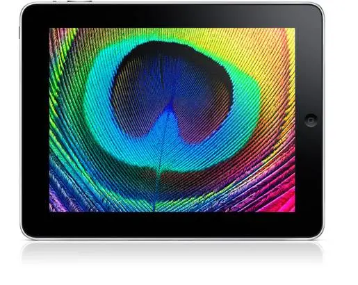 ipad-20 iPad มาพร้อมจอ LED-backlit, IPS Display 9.7นิ้ว ชัดเจนทุกมุม
