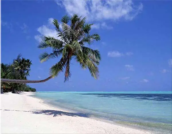 sunny-beach-palm ความจริงแล้วเราเป็นเพียงเม็ดทรายเล็กๆในมหาสมุทร
