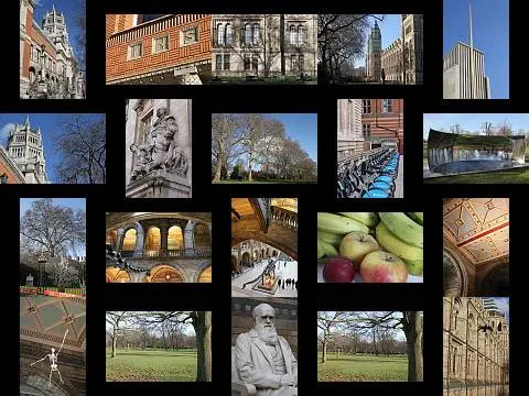 คลิกที่รูปเข้าดู Gallery ภาพนิ่งจากกล้อง 1100D ที่เว็บไซต์ dpreview คลิกที่รูปเข้าดู Gallery ภาพนิ่งจากกล้อง 1100D ที่เว็บไซต์ dpreview