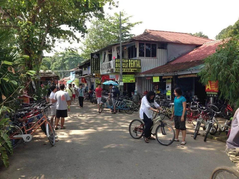 ขึ้นเรือก็จะพบร้านให้เช่าจักรยานเต็มไปหมด มีตั้งแต่เช่าเป็นชั่วโมงละ $2 หรือ 50 บาท ทั้งวัน $6 หรือ 150 บาท แต่จักรยานอาจสภาพไม่ดีเท่าไหร่ให้ของเลือกดู จนถึงแบบดีๆแพงๆ $14